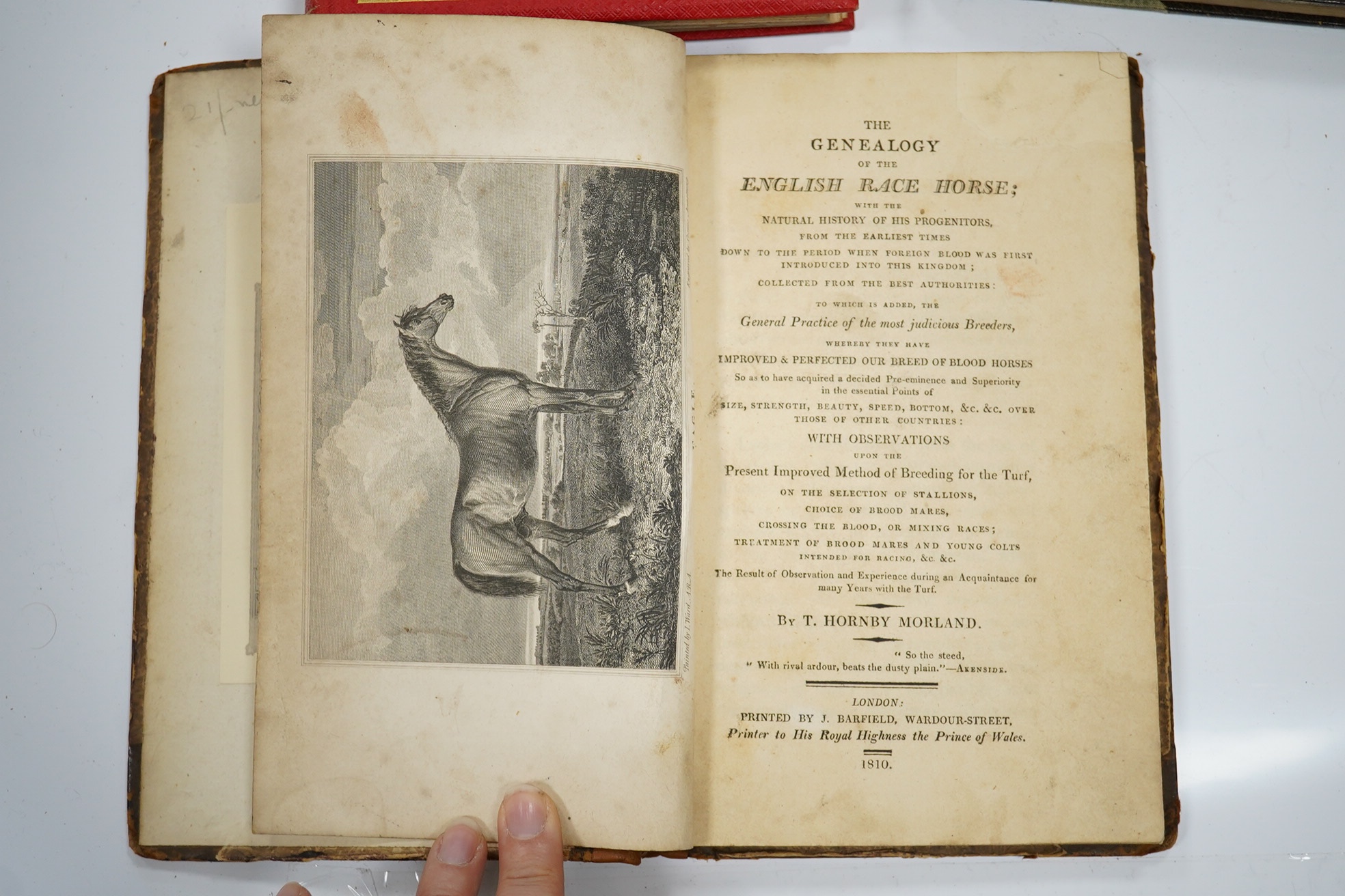 Prior, C.M. - The Royal Studs of the Sixteenth and Seventeenth Centuries, together with a reproduction of the second Earl Godolphin's Stud-Book ... 11 plates; original gilt ruled and lettered cloth. 